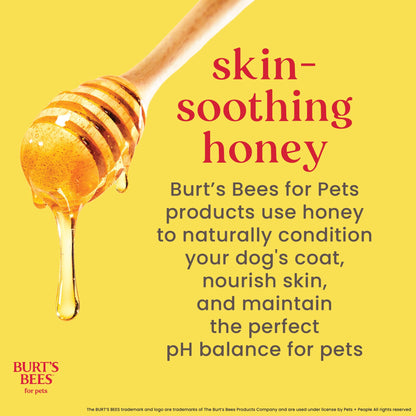 Burt's Bees Soothing Hot Spot Spray, 10-Ounce BURT'S BEES FOR PETS
