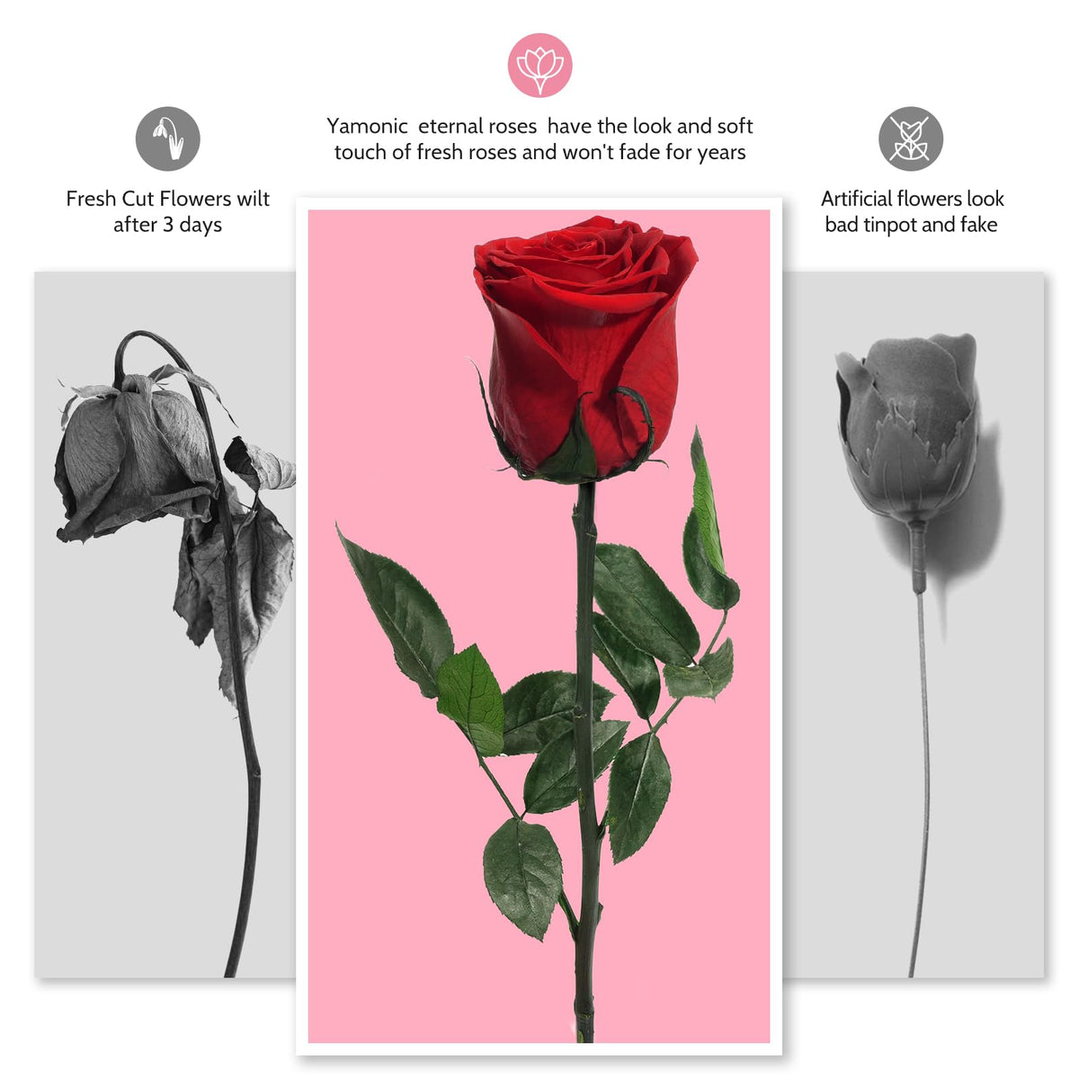 Yamonic Preserved Flowers Rose Gifts for Women Mom,Mothers Day Rose Flower Gifts for Mom,Real Flower Birthday Mom Gifts for Grandma,Wife,Girlfriend Gifts for Christmas,Valentine's Day,Anniversary(Red) 🍁 All In One Marketplace Canada