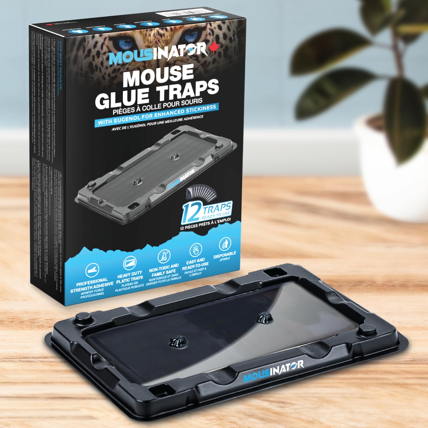MOUSINATOR Mouse Glue Traps, 12-Pack, Heavier Plastic Glue Trap with Extra-Strong Adhesive for Small Mice, Sticky Mouse Trap for Indoor, Easy & Ready-to-Use