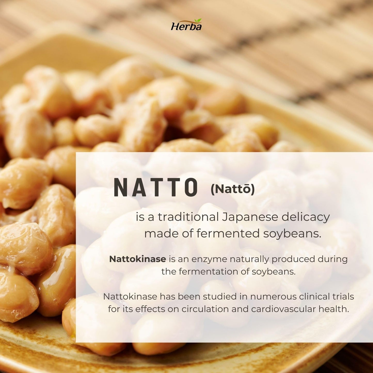 Herba Nattokinase Supplement 2000 FU – 100mg, 120 Delayed Release Capsules | Helps to Support Heart Health | Made in Canada - Available at All In One Marketplace Canada