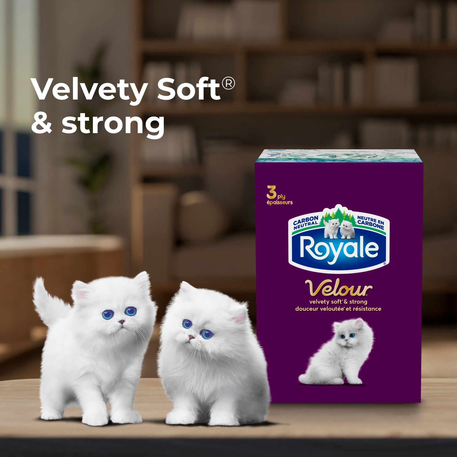 Royale Velour 3 Ply Facial Tissue, 24 Tissue Boxes, 72 Tissues per Box