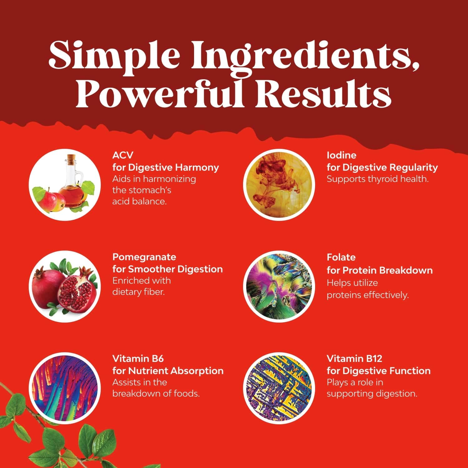 Apple Cider Vinegar Gummies with Mother - Supports Appetite Control - ACV Gummies for Detox & Cleanse - Gut Health & Bloating - Metabolism & Energy Support - ACV with Mother - B12 & B6 Vitamin - 60 Ct - Available at All In One Marketplace Canada