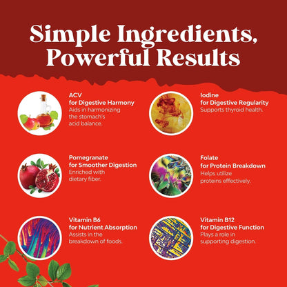 Apple Cider Vinegar Gummies with Mother - Supports Appetite Control - ACV Gummies for Detox & Cleanse - Gut Health & Bloating - Metabolism & Energy Support - ACV with Mother - B12 & B6 Vitamin - 60 Ct - Available at All In One Marketplace Canada