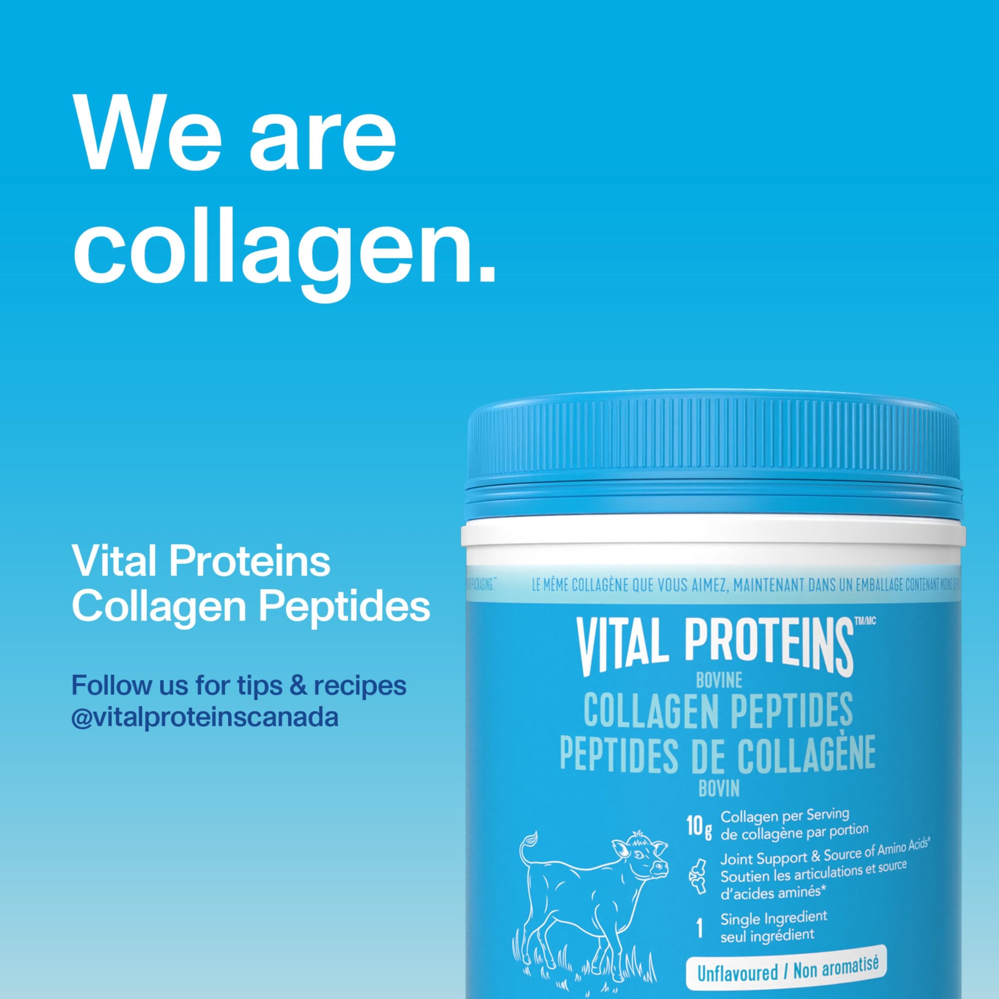 VITAL PROTEINS Bovine Collagen Peptides Powder, Helps Form Collagen And Reduce Joint Pain Associated With Osteoarthritis, Source Of Amino Acids, No Added Sugar, No Artificial Colours Or Flavours, 567 g