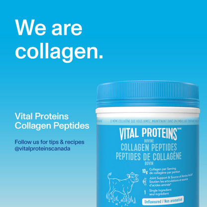 VITAL PROTEINS Bovine Collagen Peptides Powder, Helps Form Collagen And Reduce Joint Pain Associated With Osteoarthritis, Source Of Amino Acids, No Added Sugar, No Artificial Colours Or Flavours, 567 g