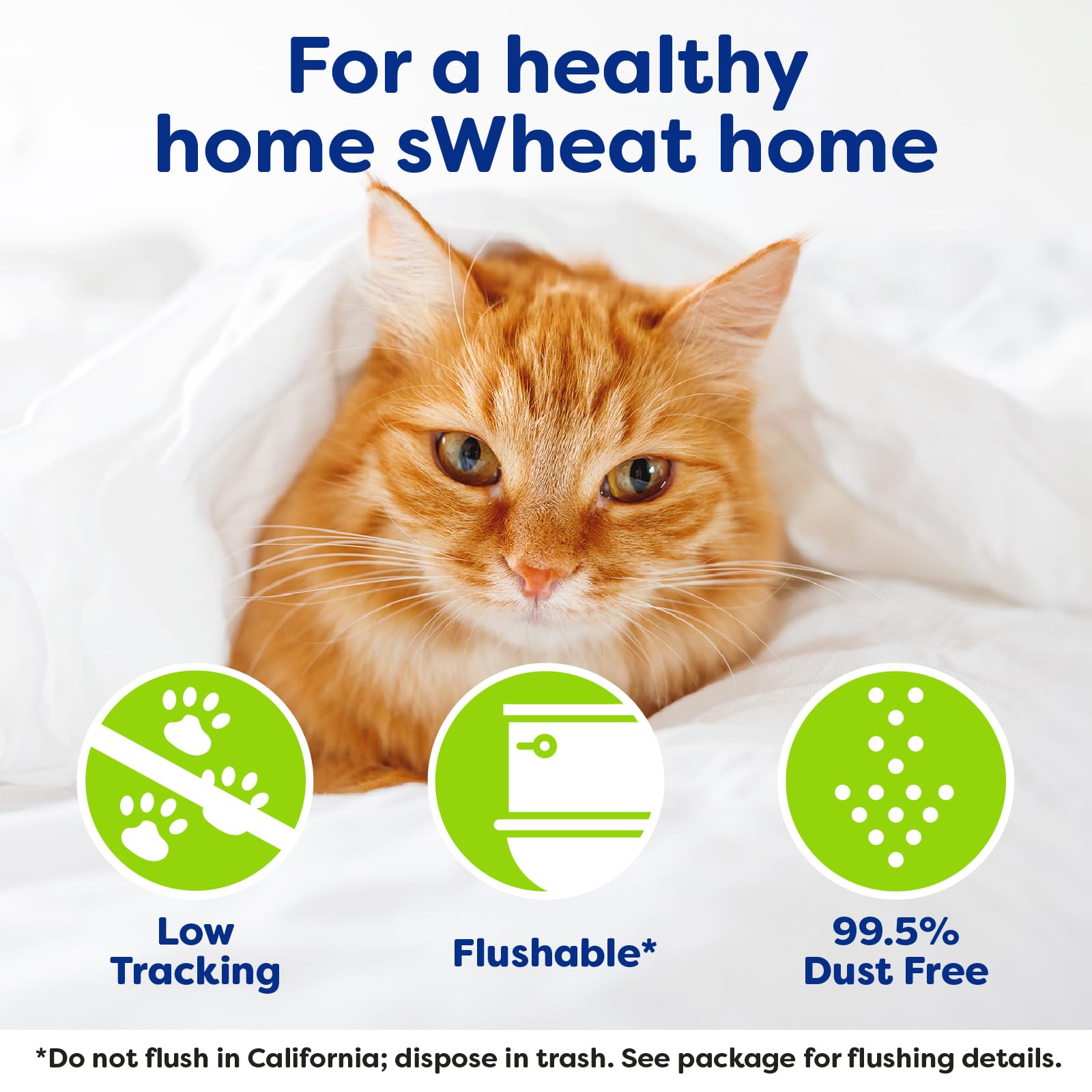 sWheat Scoop Natural Wheat Multi-Cat Litter, Superior Clumping with Odor Neutralizing Enzymes, 25 Pound Bag sWheat Scoop