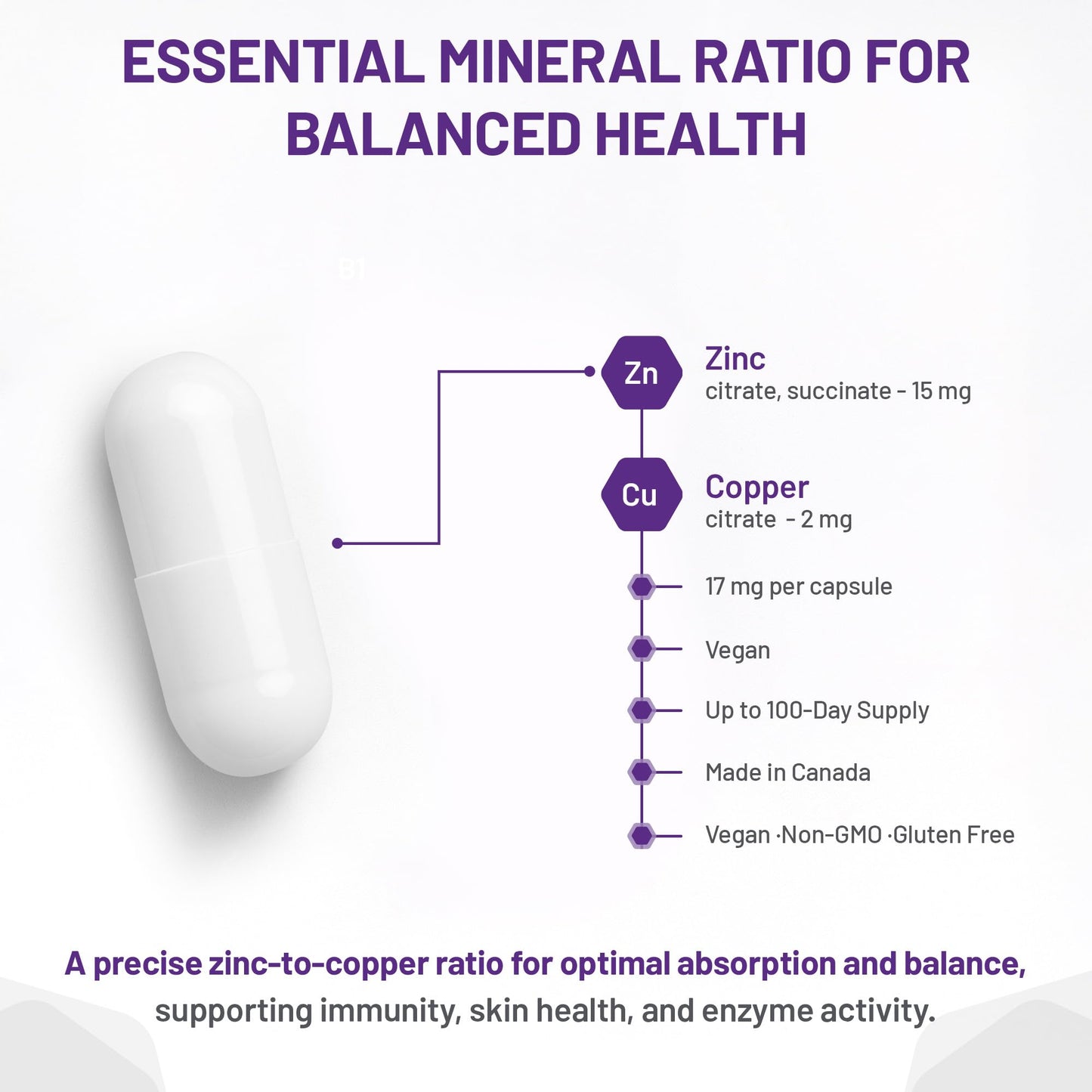 AOR Zinc Copper Balance 17mg, 100 V-Caps, 100-Day Supply - Nutrient Support for Skin, Hair, Bone & Overall Wellness, NON-GMO & Gluten-Free, Easy-to-Swallow, Zinc & Copper Supplements for Men & Women - Available at All In One Marketplace Canada