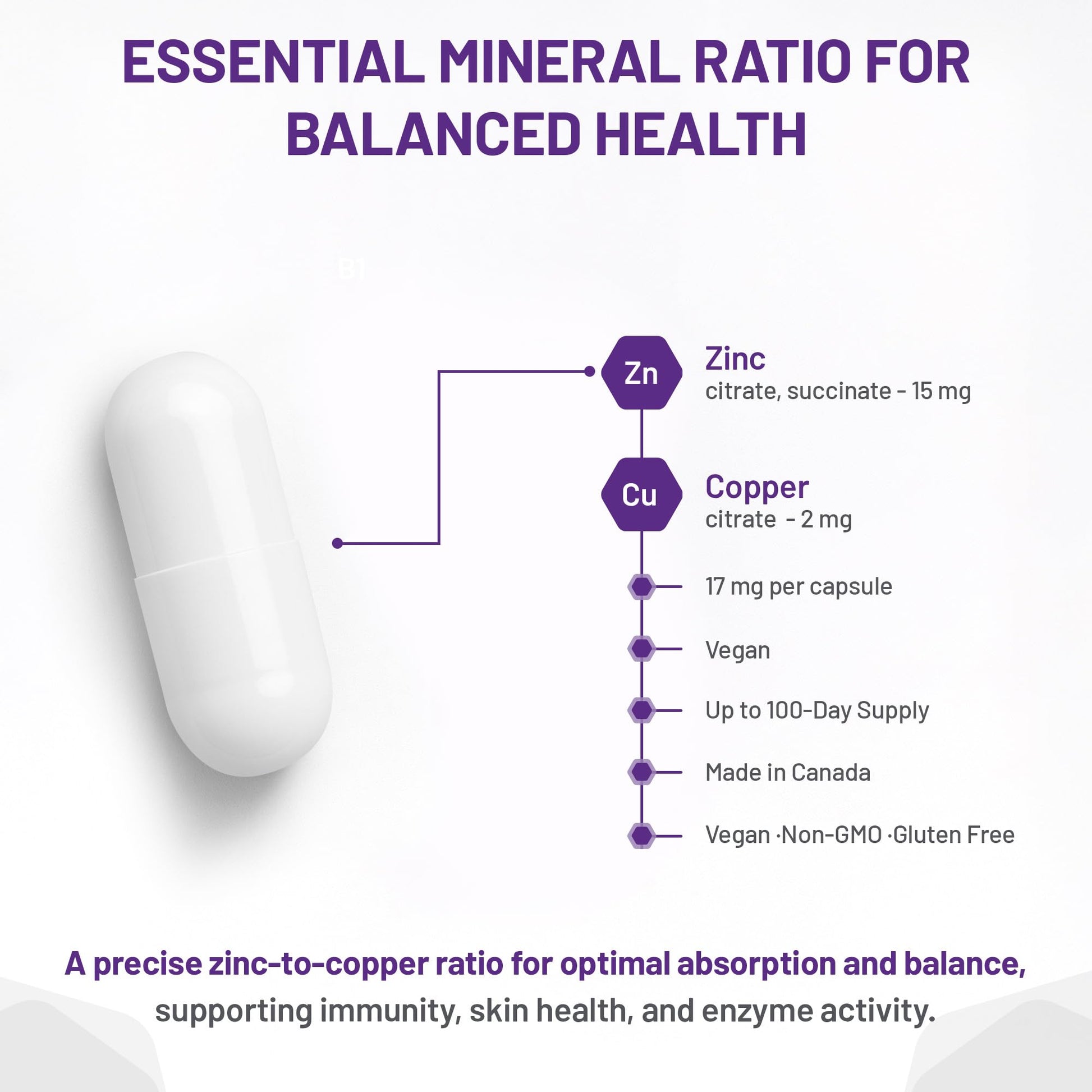 AOR Zinc Copper Balance 17mg, 100 V-Caps, 100-Day Supply - Nutrient Support for Skin, Hair, Bone & Overall Wellness, NON-GMO & Gluten-Free, Easy-to-Swallow, Zinc & Copper Supplements for Men & Women - Available at All In One Marketplace Canada