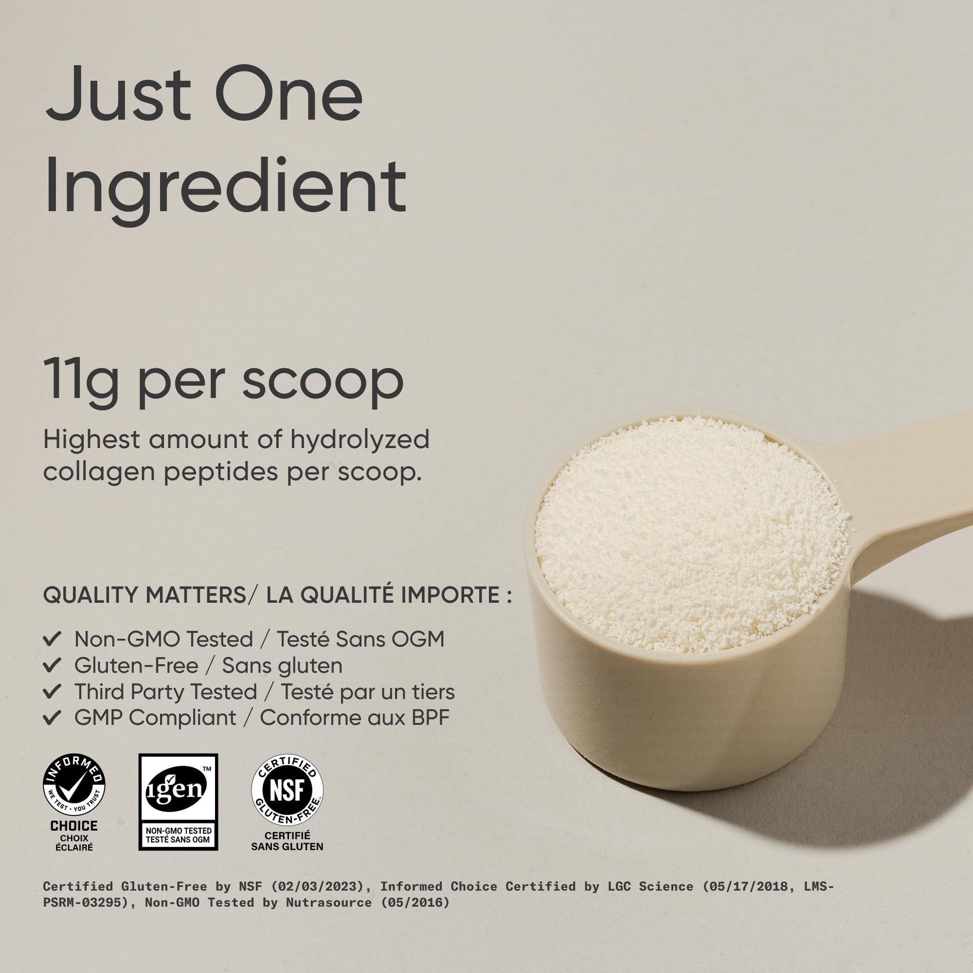 Sports Research® Premium Collagen Peptides Powder (32oz Jar) | Grass-Fed, Certified Paleo Friendly, Non-GMO and Gluten Free - Unflavored and Easy to Mix
