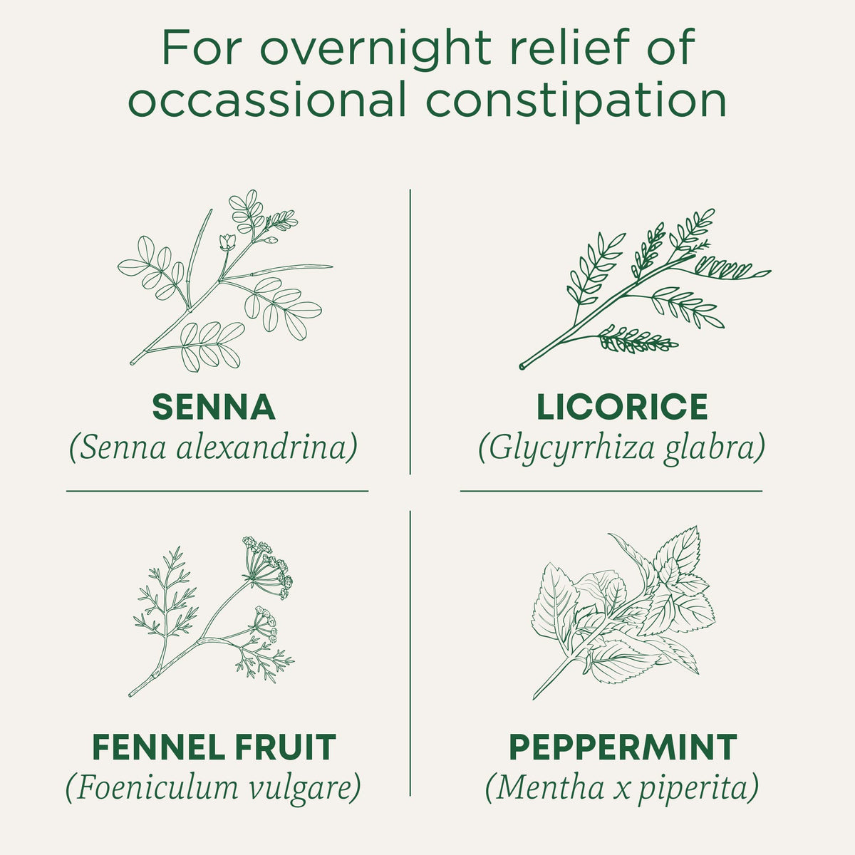 Traditional Medicinals - Organic Smooth Move Peppermint Laxative Herbal Tea (Pack of 6) - Gentle Overnight Relief of Occasional Constipation - 96 Tea Bags Total 🍁 All In One Marketplace Canada