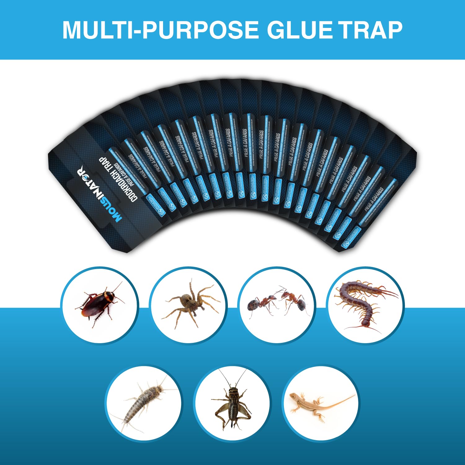 MOUSINATOR Cockroach Traps, 18-Pack, Larger and Multi-Entry Design with Extra-Strong Adhesive, Sticky Glue Cockroach Trap for Indoor Use, Family-Safe, Easy and Ready-to-Use - Available at All In One Marketplace Canada