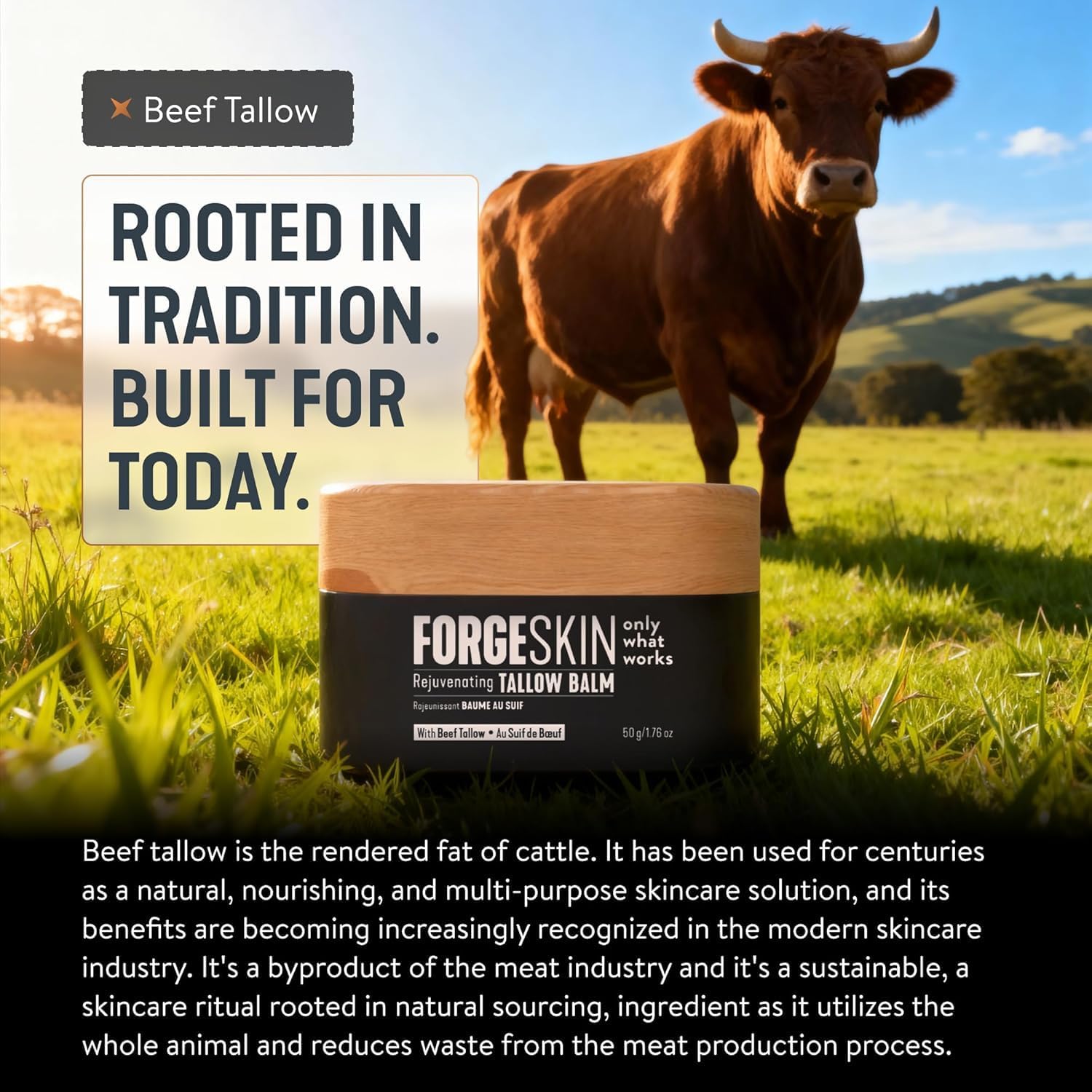 FORGE SKIN® Wrinkle Defense Beef Tallow Balm for Men [TALLOW-BASED] Moisturizer for Face Hydration - Hydrating Anti Aging Skin Cream - Natural Facial Skincare Lotion with Essential Oils (1.7 OZ) - Available at All In One Marketplace Canada