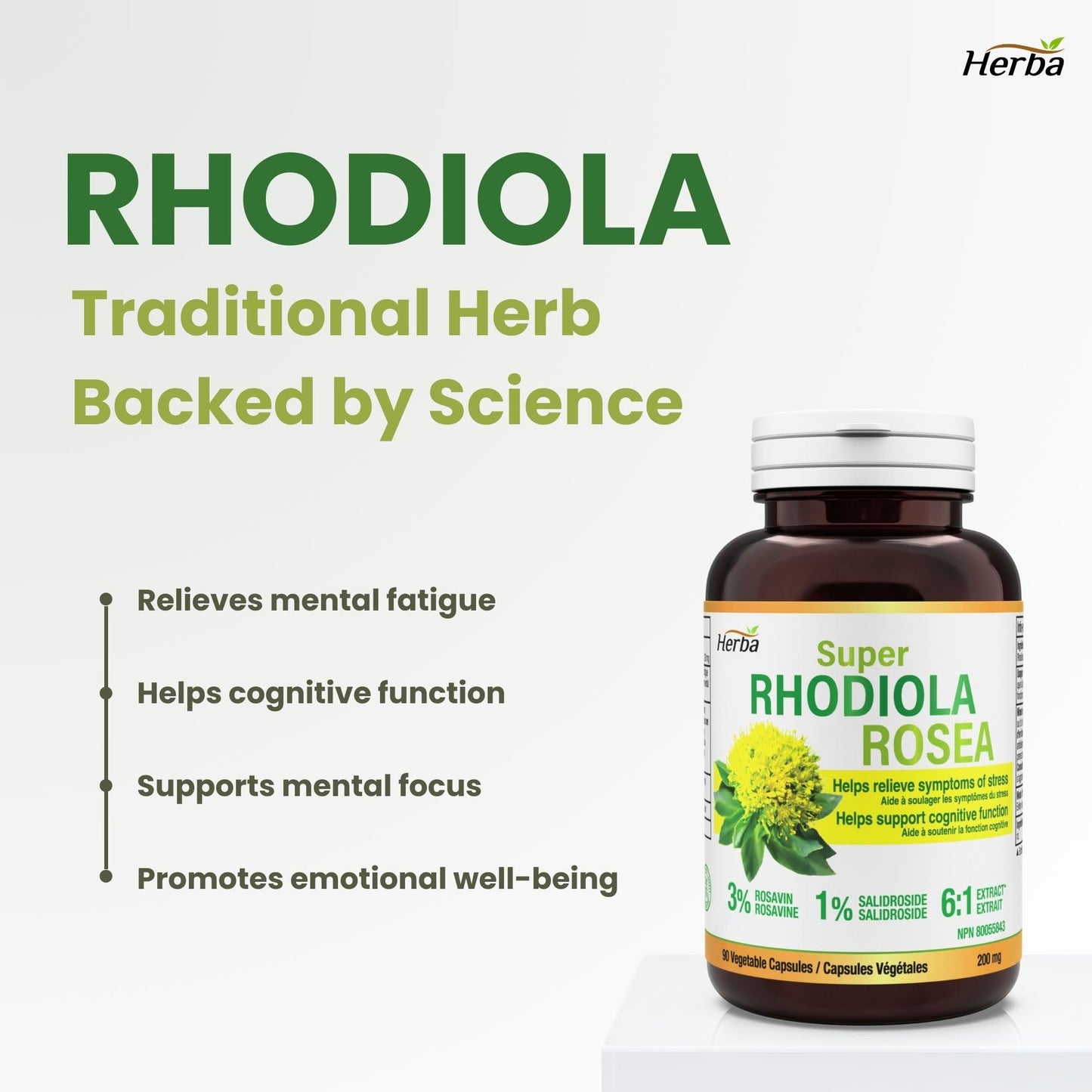 Herba Rhodiola Rosea Supplement 200mg - 90 Capsules | 6:1 Extract | Rhodiola Supplement with Min 3% Rosavins and 1% Salidrosides | Help Relieve Symptoms of Stress | Made in Canada - Available at All In One Marketplace Canada