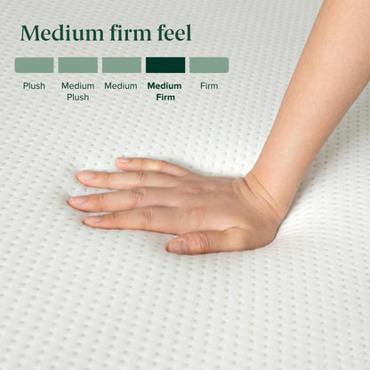 Zinus Twin Mattress - 6 Inch Green Tea Infused Memory Foam Mattress, Mattress in a Box, CertiPUR-US Certified Foam with Pressure Relief, 10-Year Warranty, Twin Size Zinus