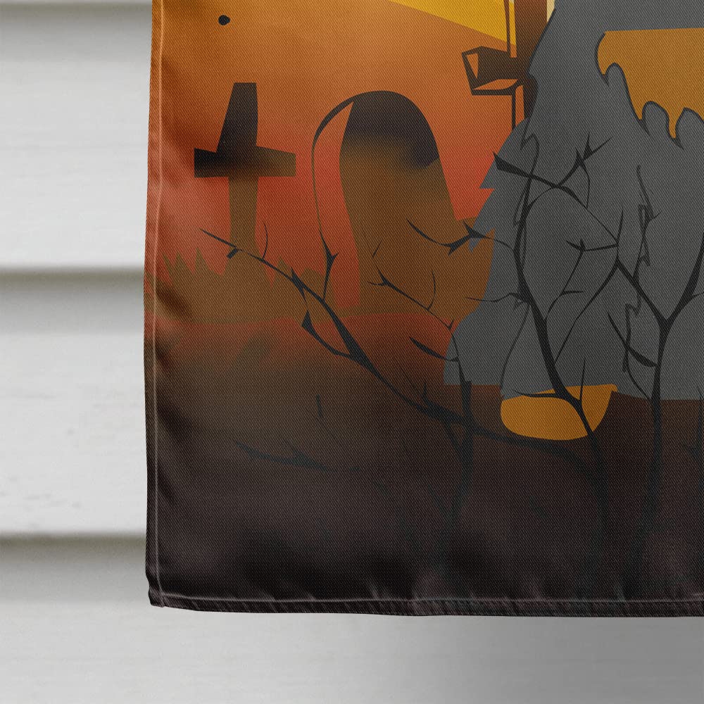 Drapeau de maison en toile Caroline's Treasures BB4359CHF Épagneul cocker noir et feu pour Halloween, grand format, multicolore
