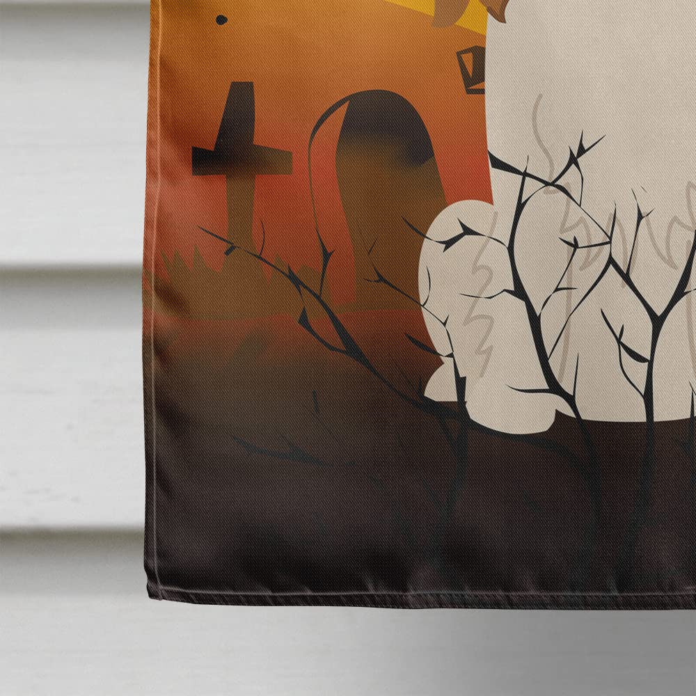Caroline's Treasures BB4324CHF Halloween Cavalier Spaniel Flag Canvas House Size, Large, Multicolor