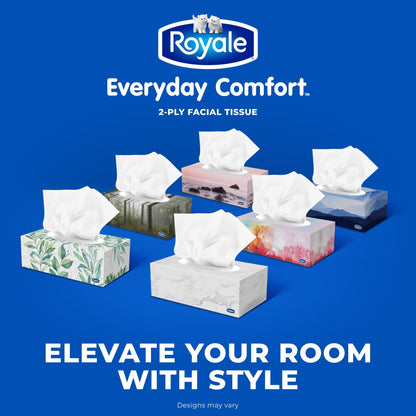 Royale Everyday Comfort 2 Ply Facial Tissue, 24 Tissue Boxes, 100 Tissues per Box - Available at All In One Marketplace Canada