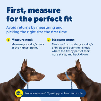 PetSafe Gentle Leader No-Pull Dog Headcollar - The Ultimate Solution to Pulling - Redirects Your Dog's Pulling for Easier Walks - Helps You Regain Control - Large, Charcoal 🍁 All In One Marketplace Canada