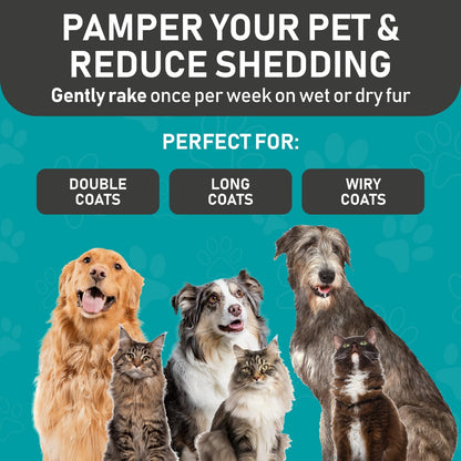 Maxpower Planet Pet Grooming Brush - Double Sided Shedding, Dematting (A1 Blue, Large)