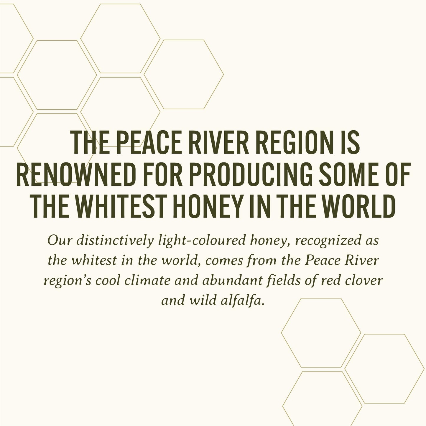 Peace River Organic Creamed Honey | 100% Pure Canadian Raw Honey | Unpasteurized | Smooth & Spreadable | Preservative-Free | 2kg Pail