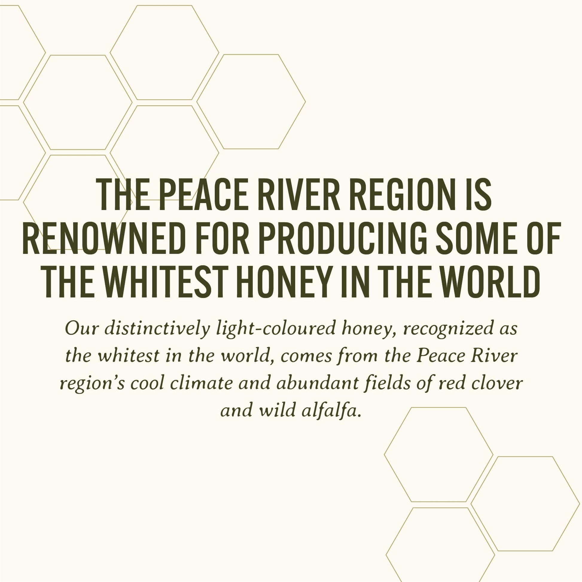 Peace River Organic Creamed Honey | 100% Pure Canadian Raw Honey | Unpasteurized | Smooth & Spreadable | Preservative-Free | 2kg Pail