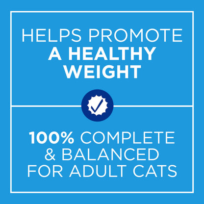 Cat Chow Indoor Dry Cat Food, Real Chicken - 8 kg Bag