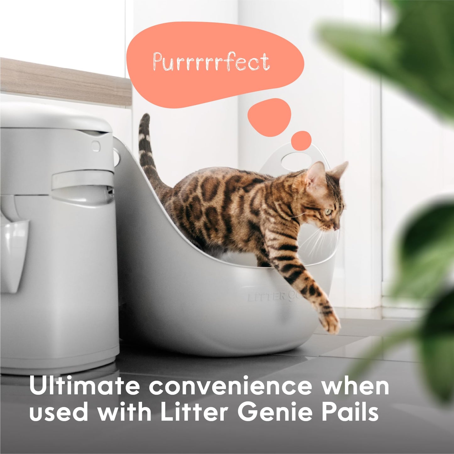 Litter Genie Cat Litter Box in Flexible Plastic with Handles, High Walls Litter Genie