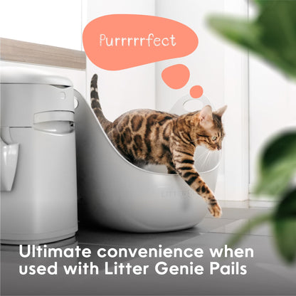 Litter Genie Cat Litter Box in Flexible Plastic with Handles, High Walls Litter Genie
