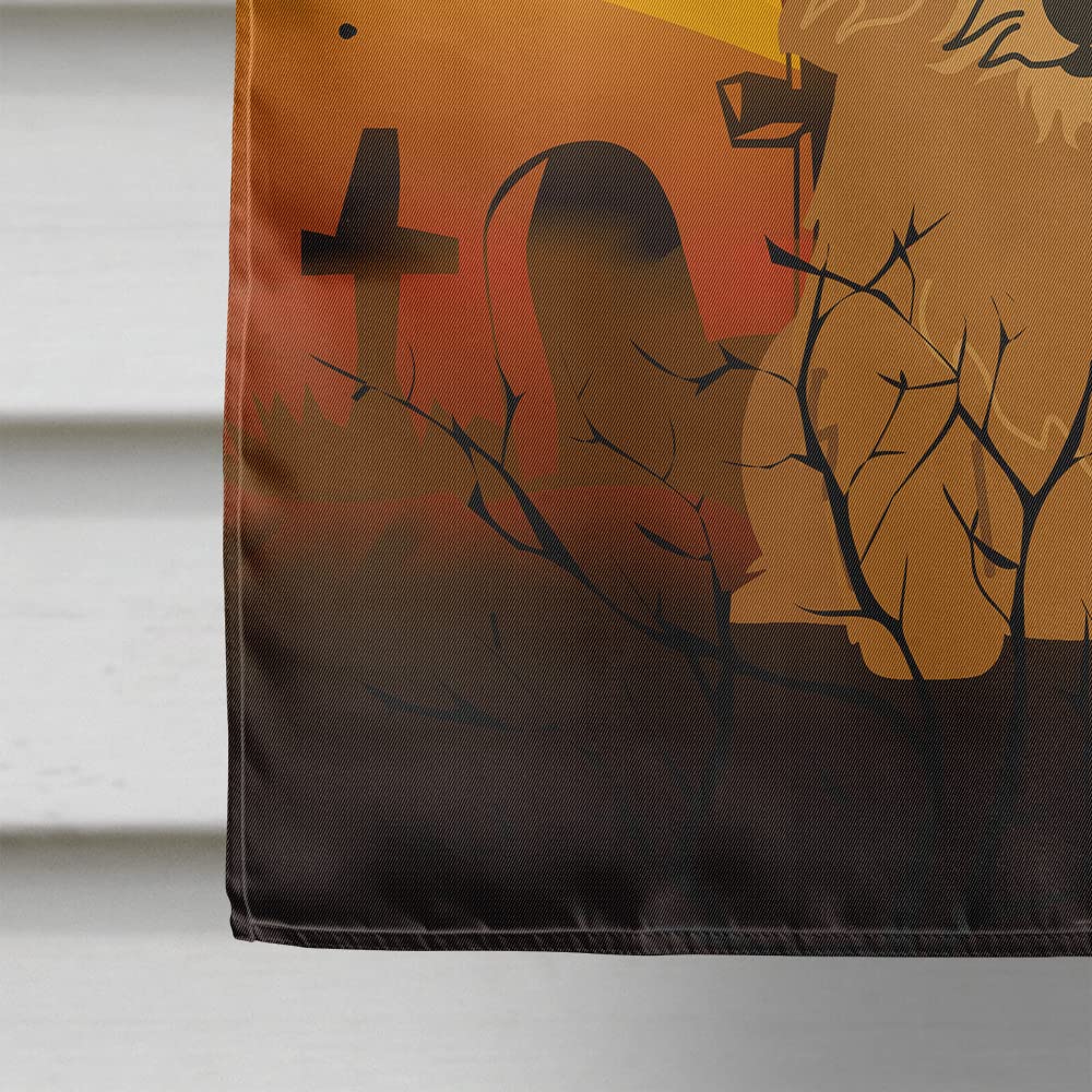 Caroline's Treasures BB4286CHF Halloween Norwich Terrier Canvas House Size Flag, Large, Multicolor