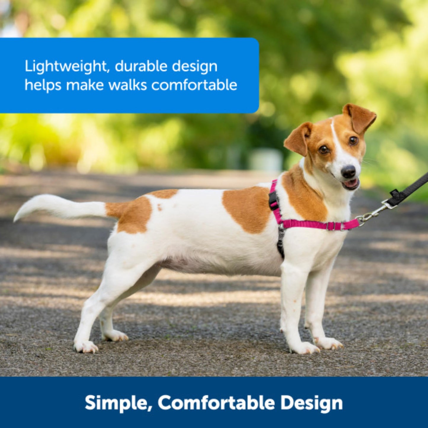 PetSafe Easy Walk Harness, No Pull Harness for Dogs, Adjustable Harness with Included Matching Lead Black Medium 🍁 All In One Marketplace Canada