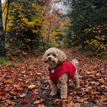 JACKO & CO Dog Fleece Vest Sweater with Leash Ring - Red L (Dogs 10-16 lbs) 🍁 All In One Marketplace Canada