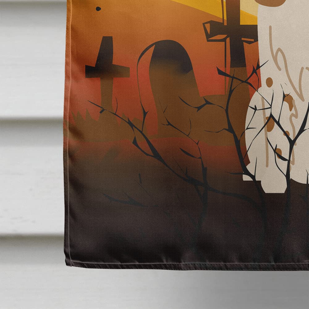Drapeau en toile Caroline's Treasures BB4297CHF motif Épagneul russe pour Halloween, format maison, grand, multicolore