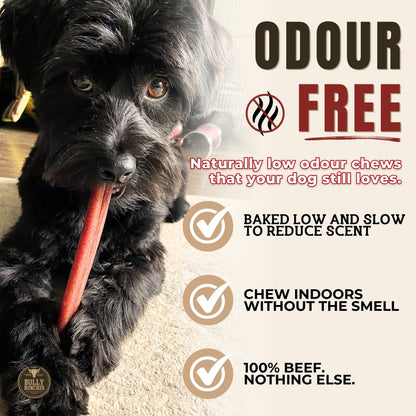 Bully Bunches Premium (6" Standard - 20 Pack) Odour-Free, Consistently Sized Bully Sticks for Medium Dogs - Long Lasting Oral Care Chews - All Natural Fully Digestible Beef Treat, No Rawhide
