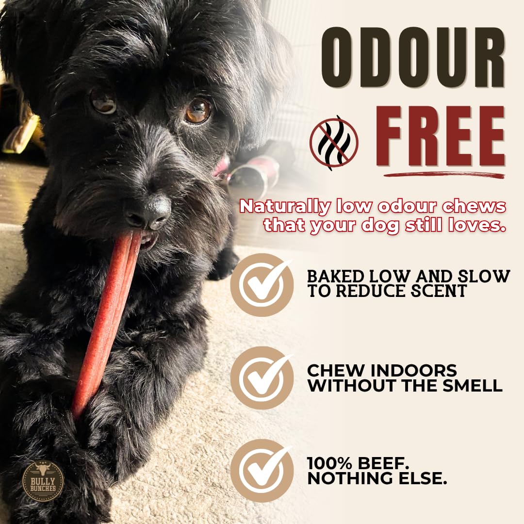 Bully Bunches Premium (6" Standard - 10 Pack) Odour-Free Bully Sticks - Small Dogs & Puppies - Consistently Sized, Long Lasting Chew Bones - All Natural & Single Ingredient, Beef Dog Treat, No Rawhide