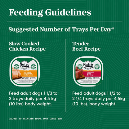 NUTRO Adult Wet Dog Food Paté, 6 Tender Beef, Sweet Potato & Carrot Recipe, 6 Slow Cooked Chicken, Potato, Carrot & Pea Recipe, 12x100g Trays Nutro