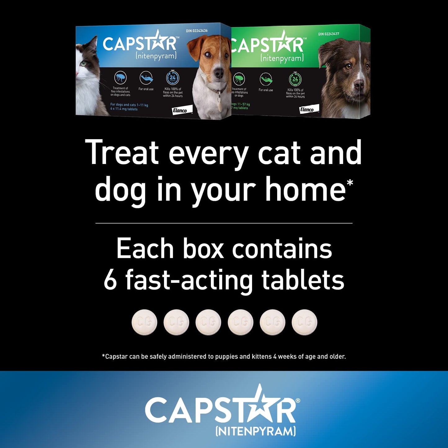 Capstar Oral Flea Treatment for Small Dogs and Cats weighing 1 to 11 kg - 6 pack 🍁 All In One Marketplace Canada