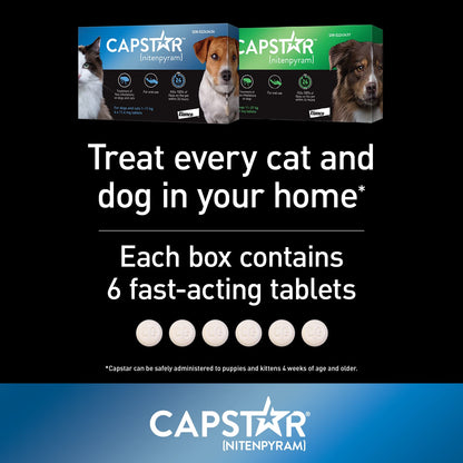 Capstar Oral Flea Treatment for Small Dogs and Cats weighing 1 to 11 kg - 6 pack 🍁 All In One Marketplace Canada