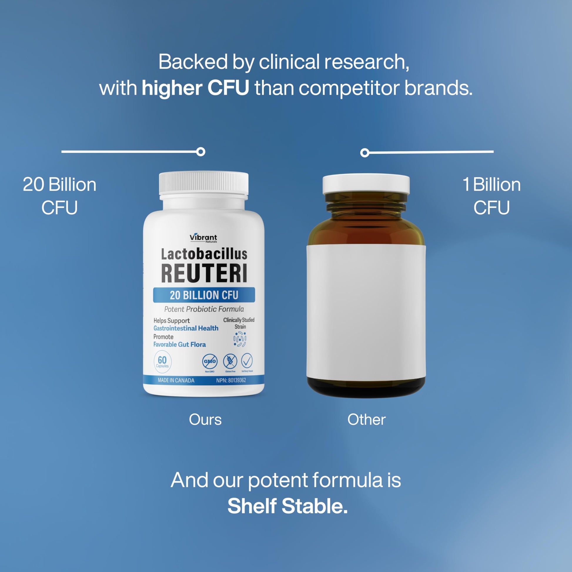 Lactobacillus Reuteri Probiotic 20 Billion CFU - L Reuteri Probiotic - Highest CFU Count, Gut Health, Yogurt Starter Culture, Probiotic With Prebiotic FOS, Made In Canada, 60 Capsules - Available at All In One Marketplace Canada