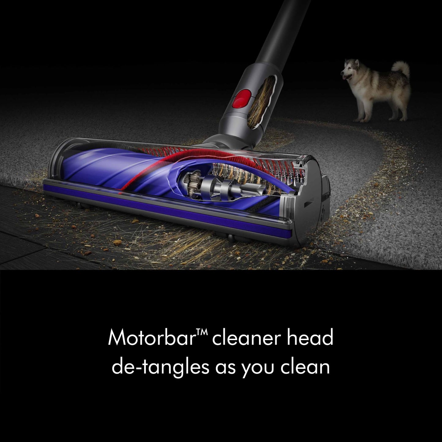 Dyson V8 Plus Cordless Vacuum - Available at All In One Marketplace Canada