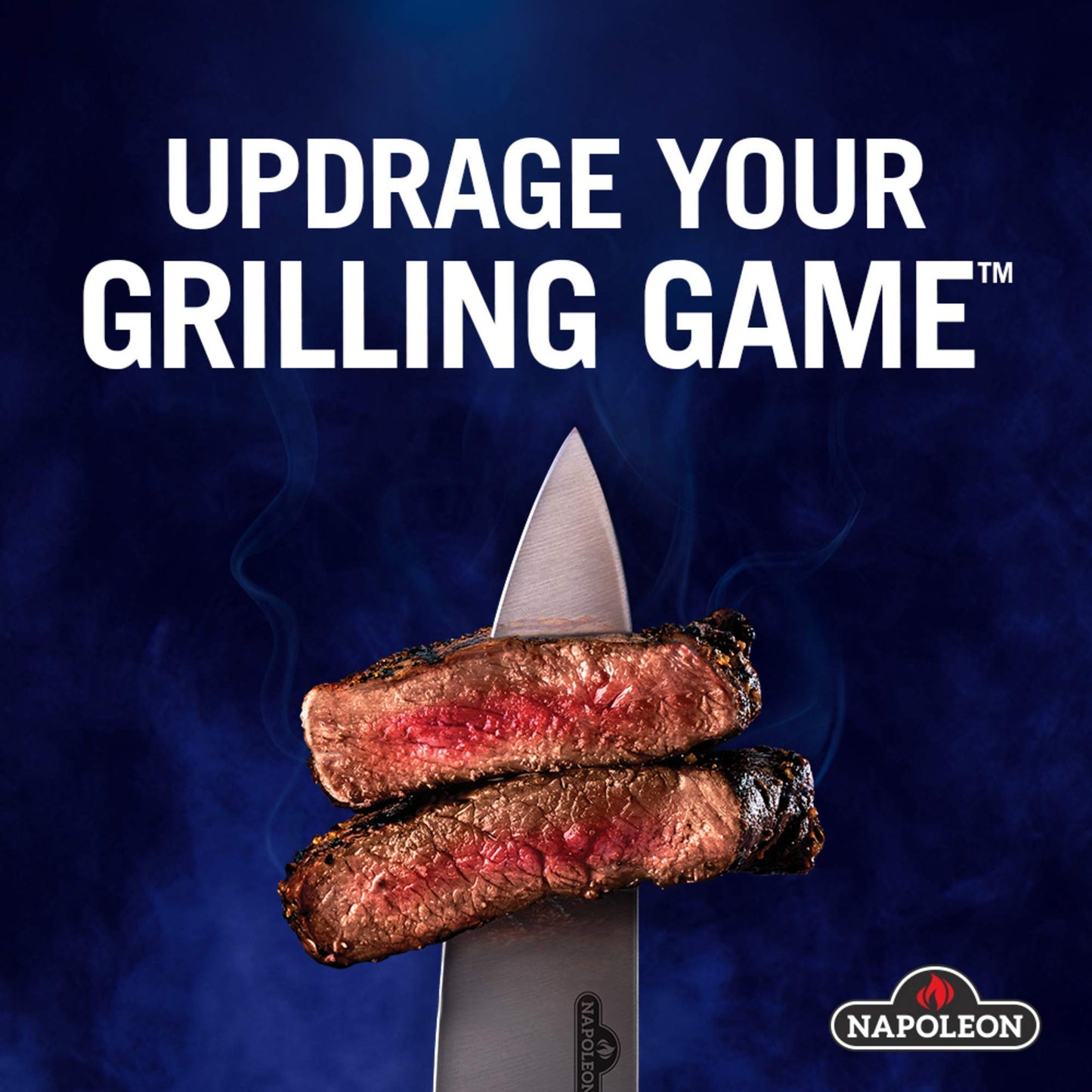 Napoleon Charcoal Starter (67800) Napoleon