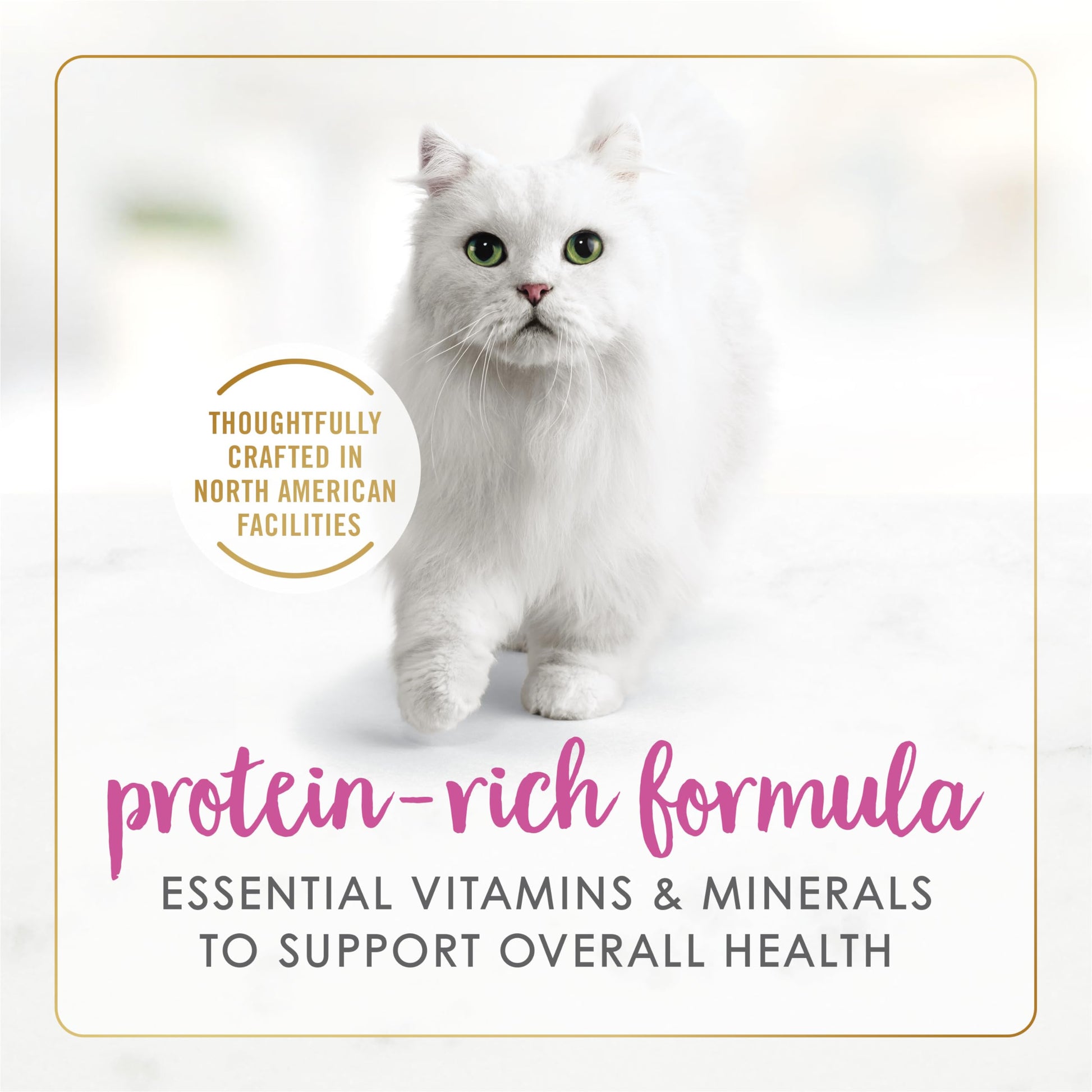 Fancy Feast Gravy Lovers Pâté Wet Cat Food, Chicken in Gravy 85g (24 Pack) Fancy Feast