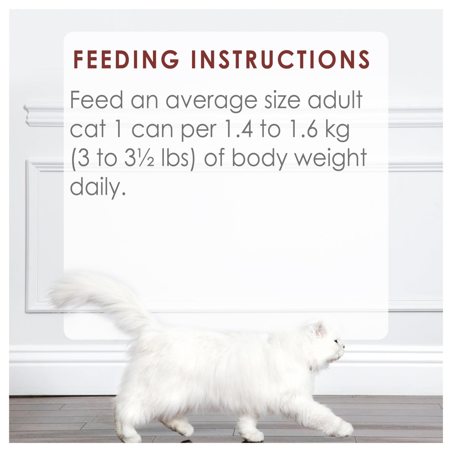 Fancy Feast Chunks Wet Cat Food, Beef Flavour in Gravy - 85 g Can (24 Pack) Fancy Feast