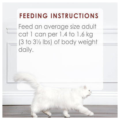Fancy Feast Chunks Wet Cat Food, Beef Flavour in Gravy - 85 g Can (24 Pack) Fancy Feast