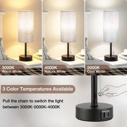 Grey Bedside Lamp for Bedroom Set of 2 - Nightstand Table Lamp with USB A + C Charging Port, 3 Color Temperatures Pull Chain Night Stand Light with Bulb, Side Table Desk Reading Lamp for Living Room - Available at All In One Marketplace Canada