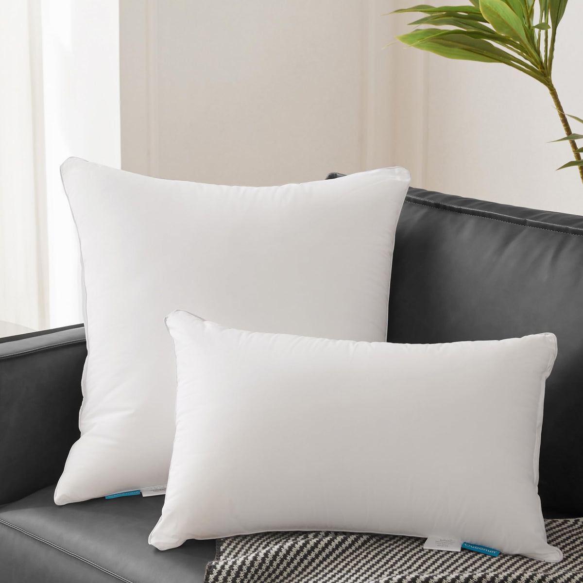 Oubonun Lumbar 12 x 20 Pillow Inserts Set of 2 with 100% Cotton Cover