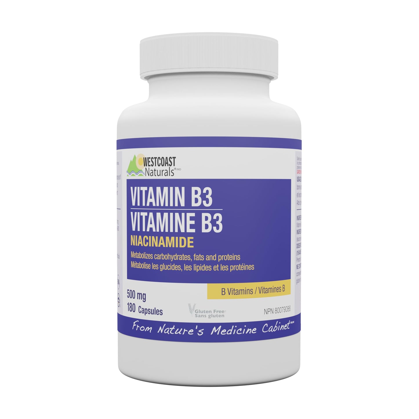 WESTCOAST NATURALS Niacinamide Vitamin B3 180 count - Available at All In One Marketplace Canada