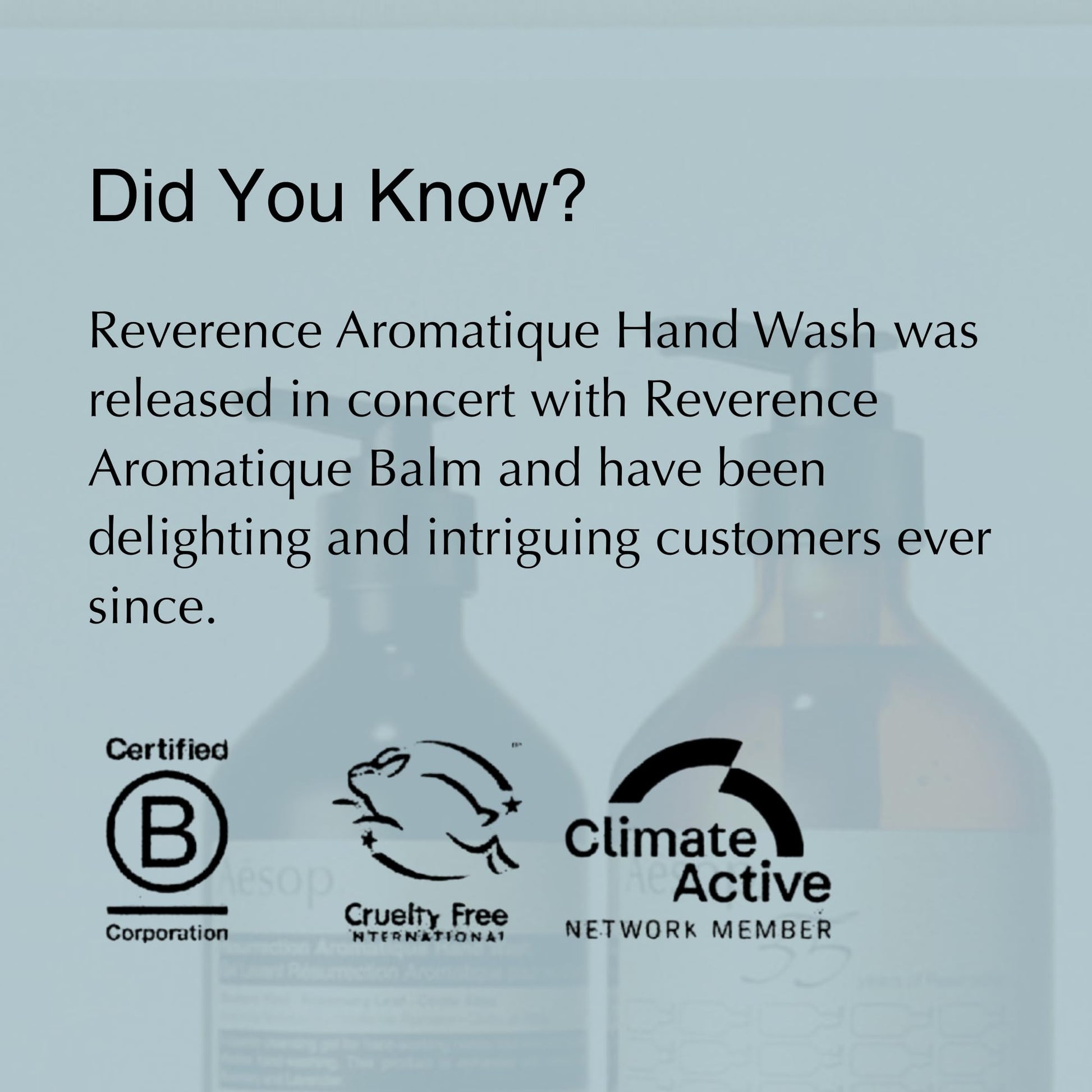 Aesop Reverence Aromatique Hand Wash | Gentle Exfoliating Hand Wash with Finely Milled Pumice | 500mL / 16.9 oz Aesop