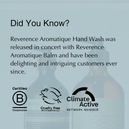 Aesop Reverence Aromatique Hand Wash | Gentle Exfoliating Hand Wash with Finely Milled Pumice | 500mL / 16.9 oz Aesop