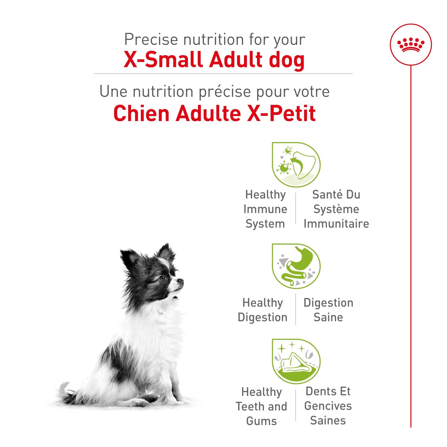 Royal Canin X-Small Adult Dry Dog Food, 2.5 lb bag ROYAL CANIN