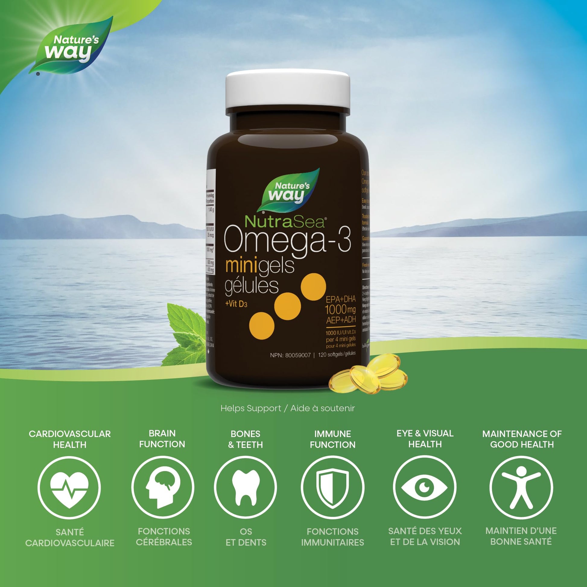 Nature's Way NutraSea Omega 3 + Vitamin D Fish Oil Mini Gels Supplement – Fresh Mint Flavour – Heart, Brain, Bone & Immune Support – 1000mg EPA & DHA + 1000IU D3, 120 Softgels - Available at All In One Marketplace Canada